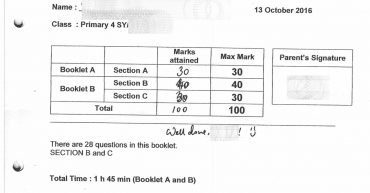 SCGS student full marks again in math exam.