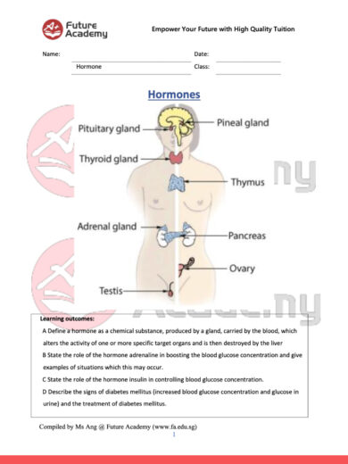 hormones-notes-1