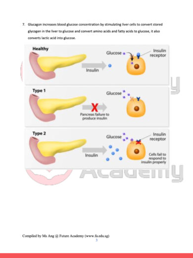 hormones-notes-3