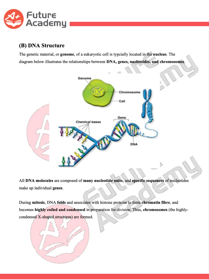 How To Revise For Molecular Genetics For Sec 4 Biology 3